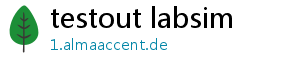 testout labsim